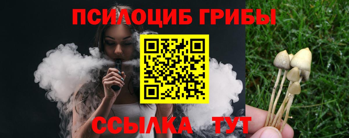 Псилоцибиновые грибы прущие грибы Звенигород