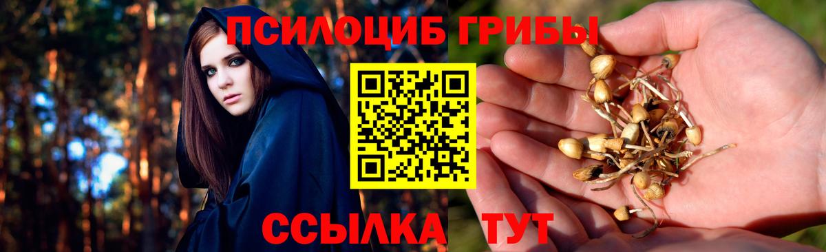 Звенигород  Галлюциногенные грибы Psilocybe  наркошоп  Вход с VPN 